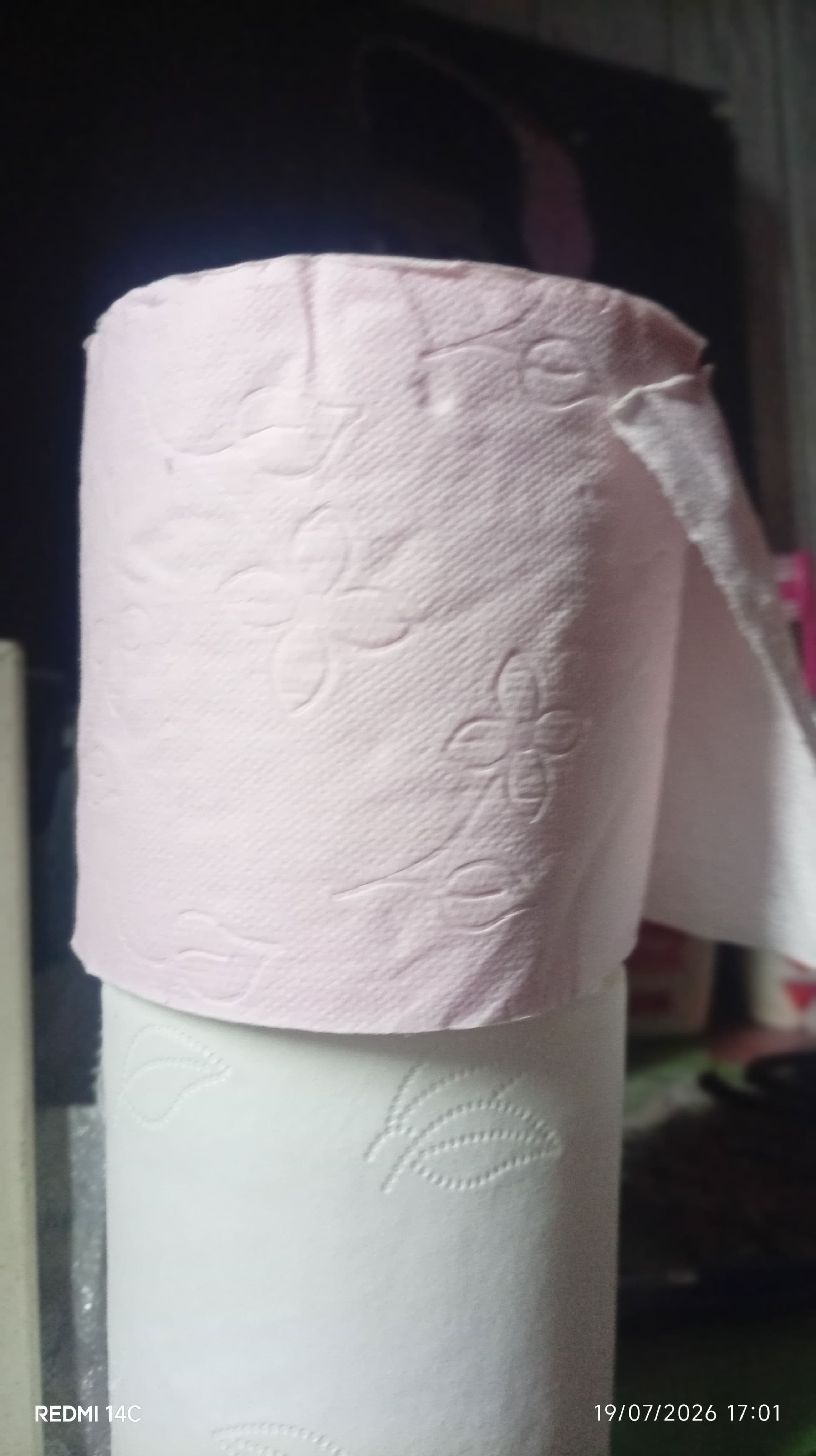 papier toilette